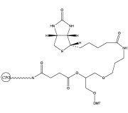 3’-Biotin LCAA CPG | FIVEphoton Biochemicals | Oligonucleotide Synthesis Reagent | HPT1801